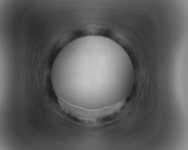 X0000085290225200703301945