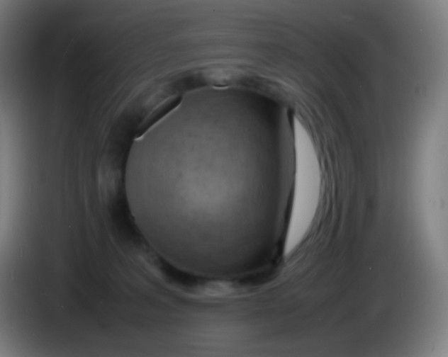 X0000085290227200703301945