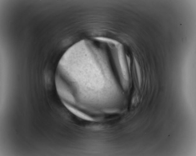 X0000085290228200703301945