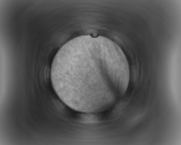 X0000085290230200703301945