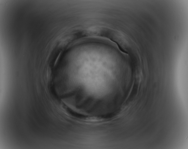 X0000085290231200703301945