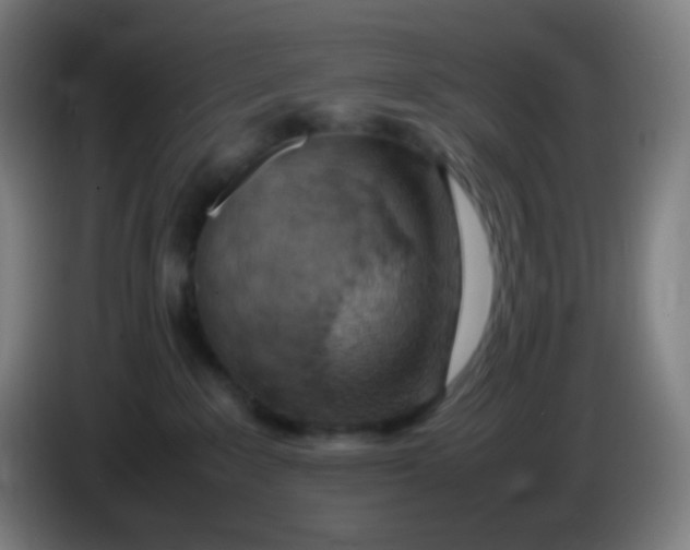 X0000085290235200703301945