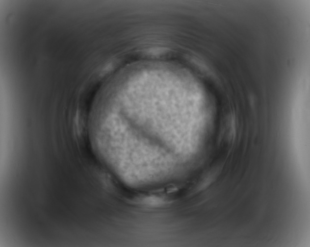 X0000085290236200703301945