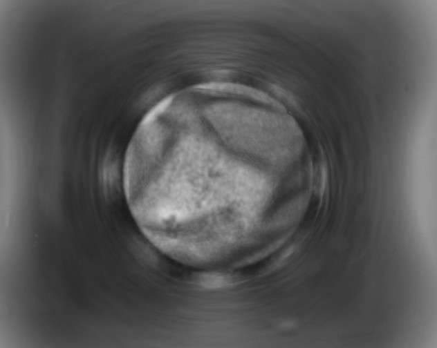 X0000085290238200703301945