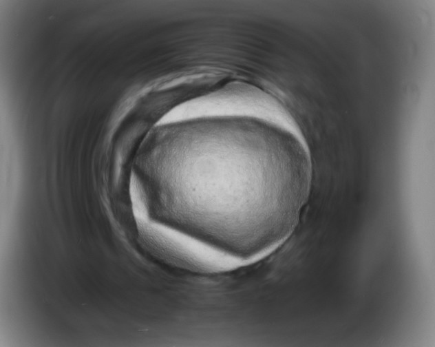 X0000085290241200703301944