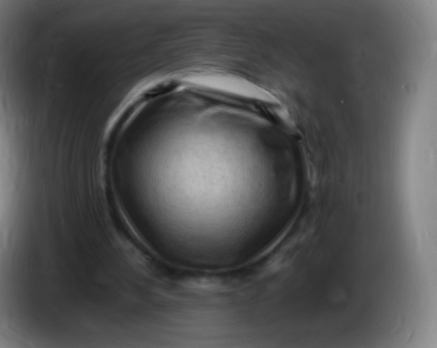 X0000085290244200703301944