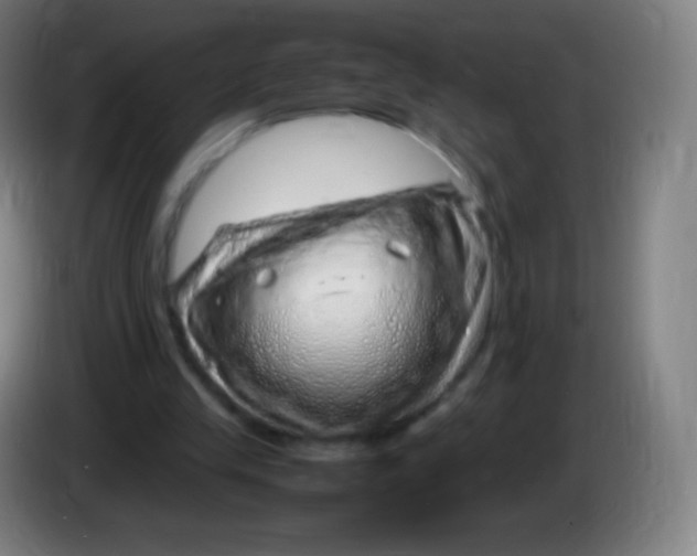 X0000085290245200703301944