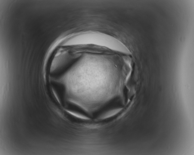 X0000085290246200703301944