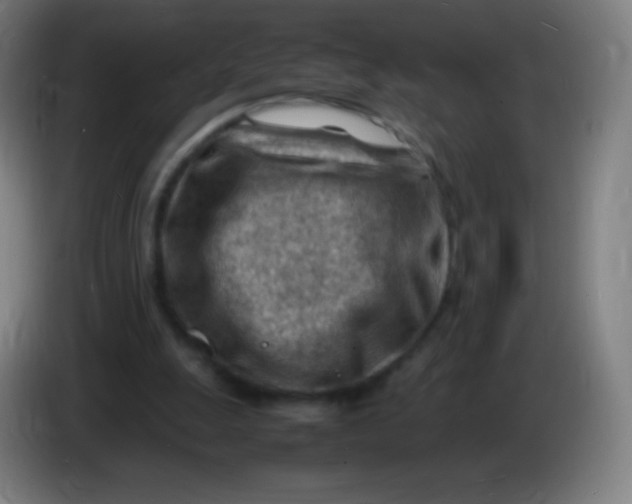 X0000085290247200703301944