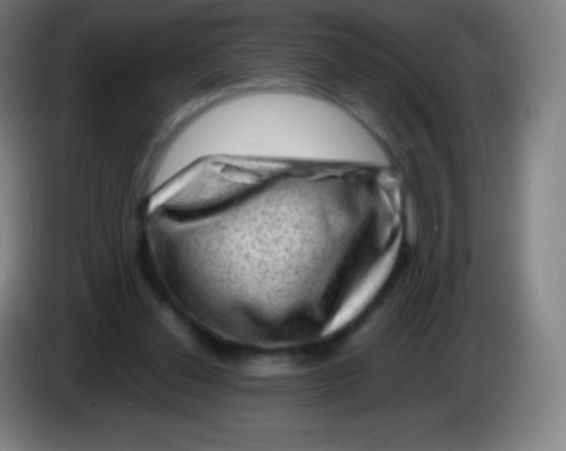 X0000085290252200703301944