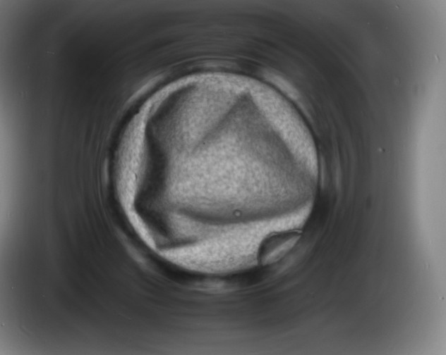 X0000085290253200703301944