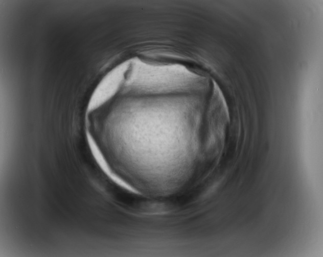 X0000085290255200703301944