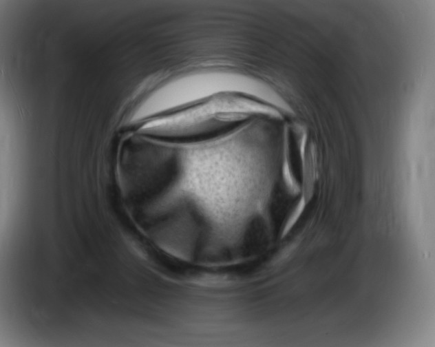 X0000085290256200703301944