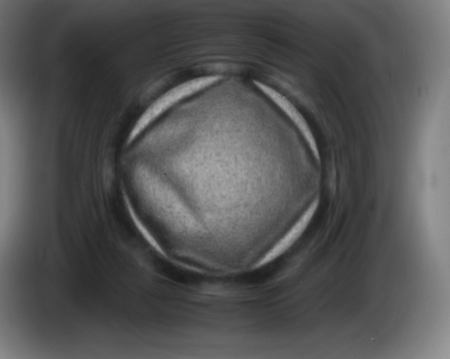 X0000085290259200703301944
