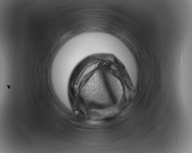 X0000085290260200703301944