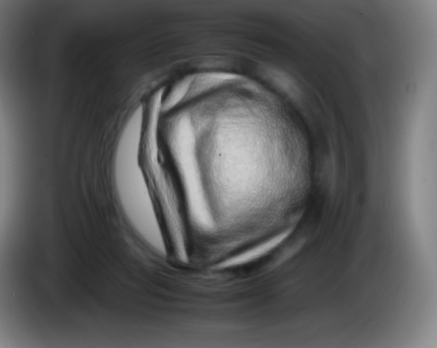 X0000085290261200703301944