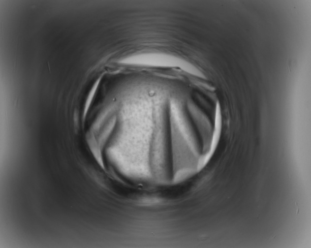 X0000085290262200703301944