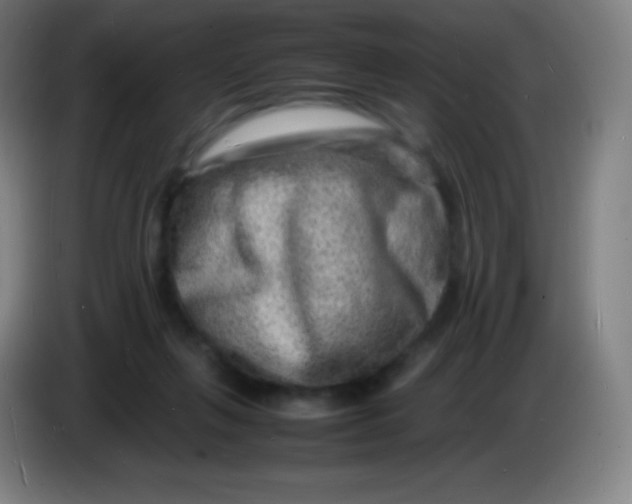X0000085290263200703301944