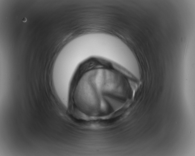 X0000085290264200703301944