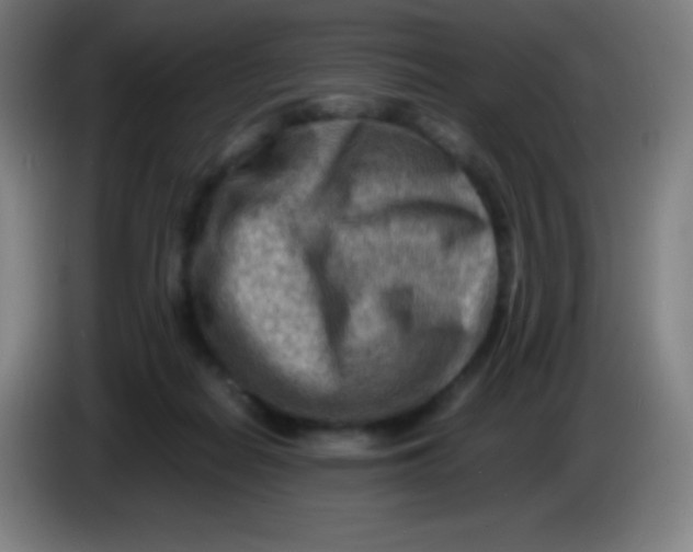 X0000085290266200703301944