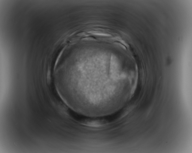 X0000085290267200703301944