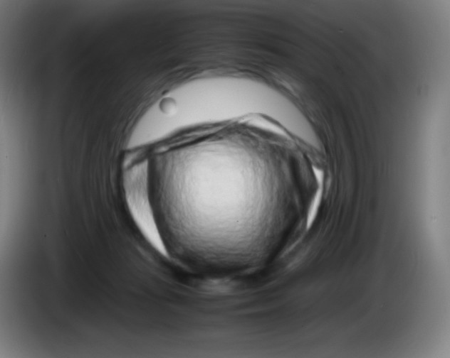X0000085290269200703301944