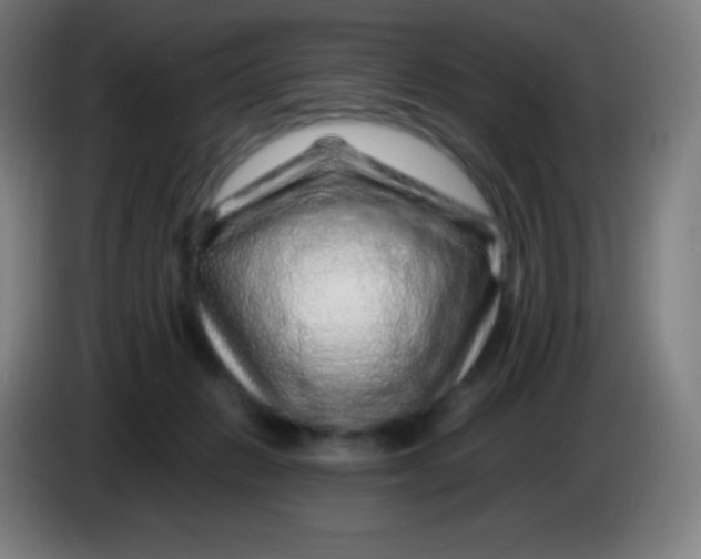 X0000085290270200703301944