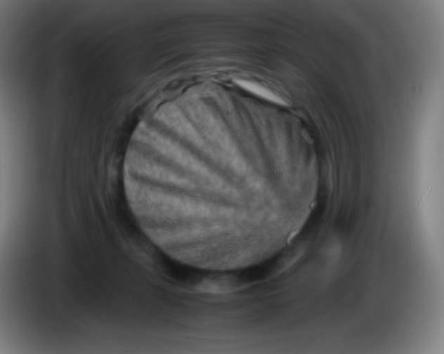 X0000085290271200703301944