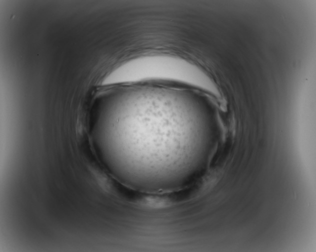 X0000085290272200703301944