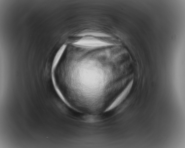 X0000085290273200703301944