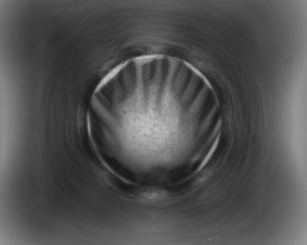 X0000085290274200703301944