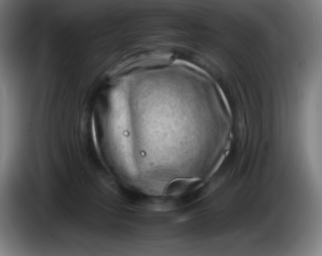 X0000085290275200703301944