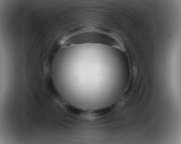 X0000085290276200703301944