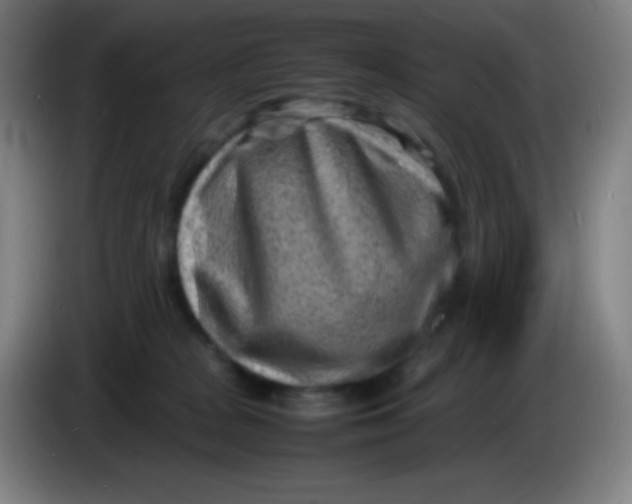 X0000085290277200703301944
