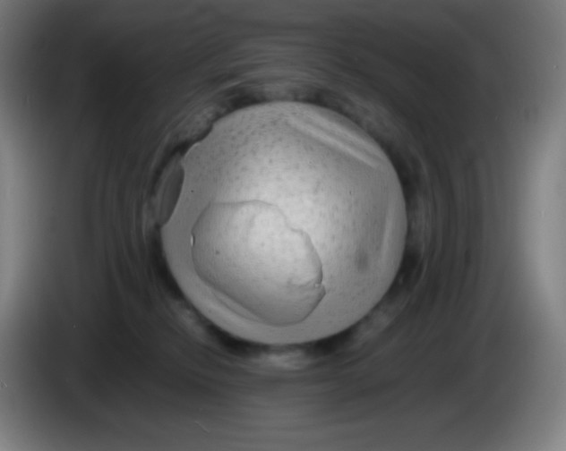 X0000085290278200703301944