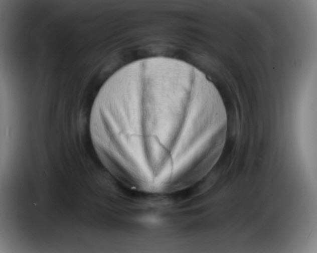 X0000085290279200703301944