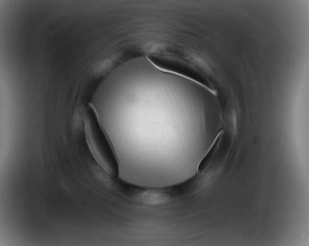 X0000085290280200703301944