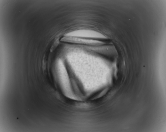 X0000085290282200703301944