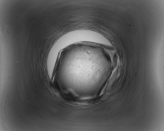 X0000085290284200703301945