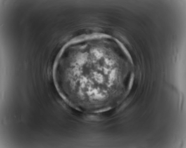 X0000085290285200703301945