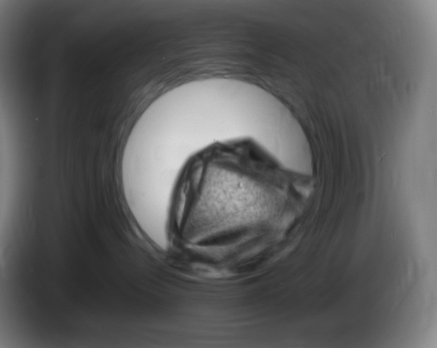 X0000085290288200703301945
