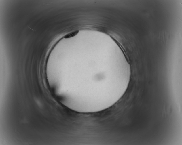 X0000085290289200703301944