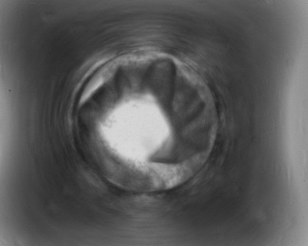 X0000085290290200703301944