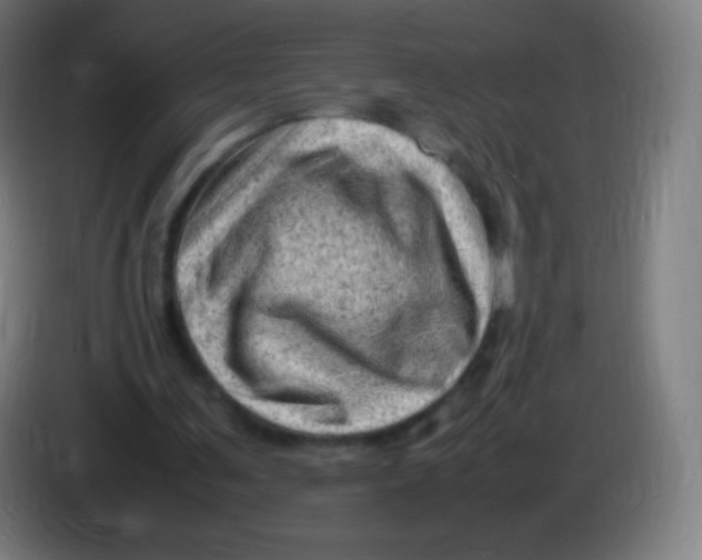 X0000085290291200703301944