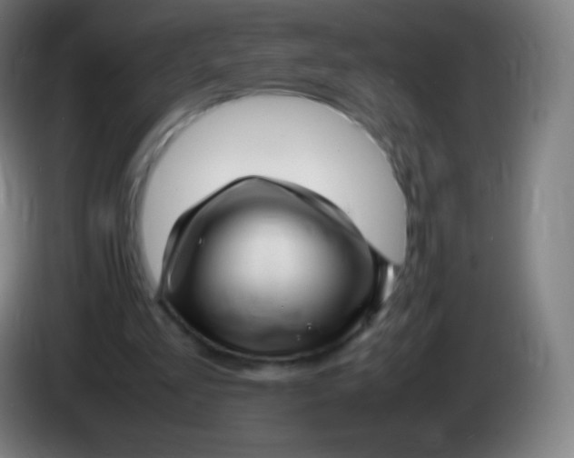 X0000085290293200703301944
