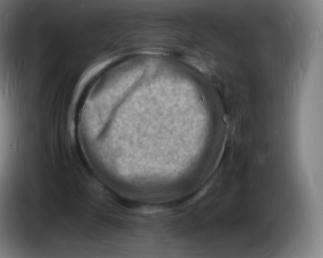 X0000085290294200703301944