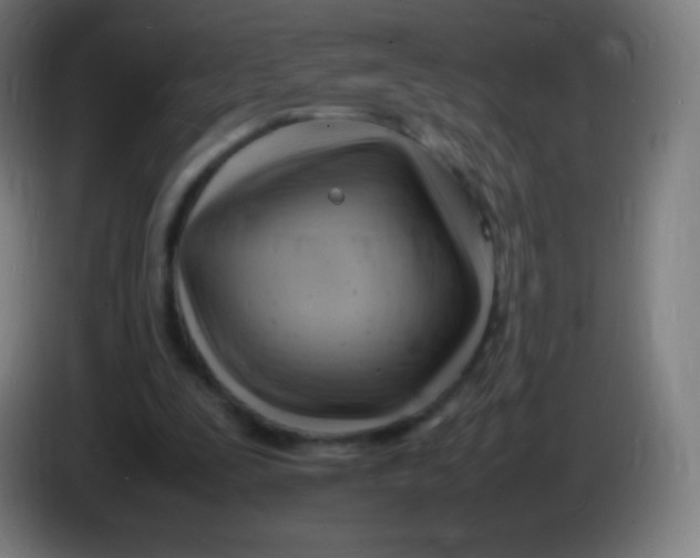 X0000085290295200703301944