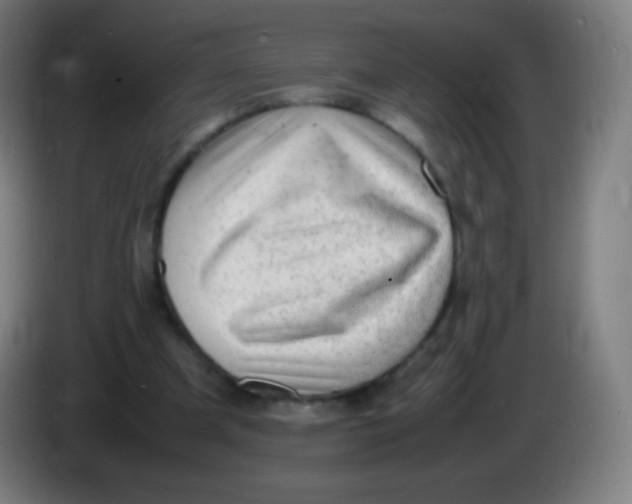 X0000085290297200703301944