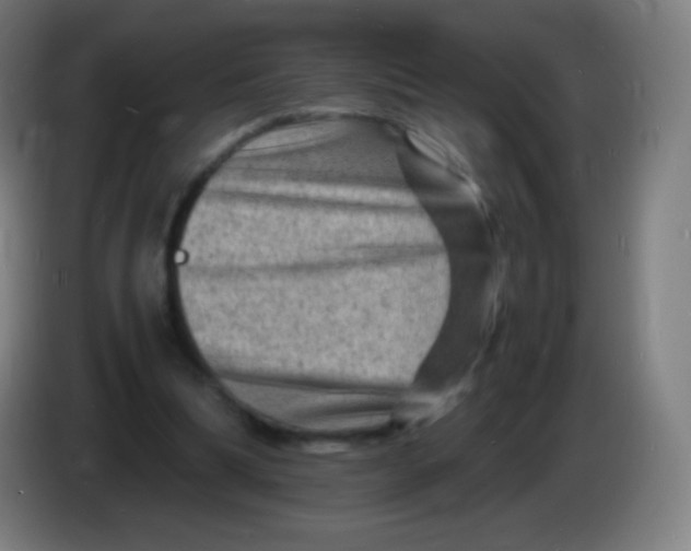 X0000085290298200703301944