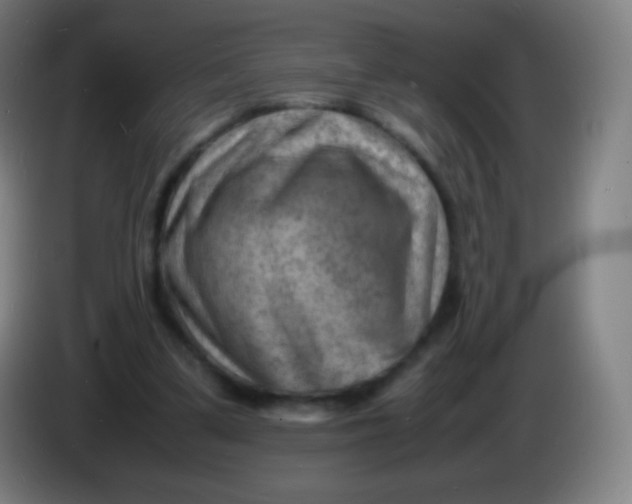 X0000085290299200703301944